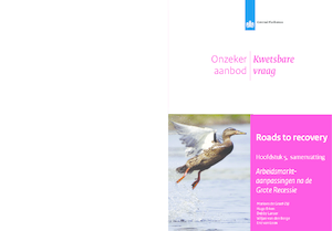 Roads to recovery, hoofdstuk 5: Arbeidsmarktaanpassingen na de Grote Recessie