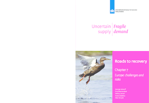Roads to recovery, hoofdstuk 7: Europa: uitdagingen en risico’s