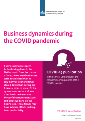 Business dynamics during the COVID pandemic