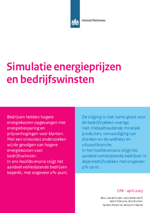 Simulatie energieprijzen en bedrijfswinsten