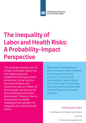 The Inequality of Labor and Health Risks: A Probability-Impact Perspective