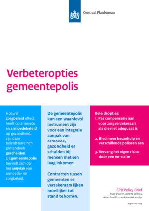 Verbeteropties gemeentepolis