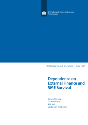 Dependence on External Finance and SME Survival