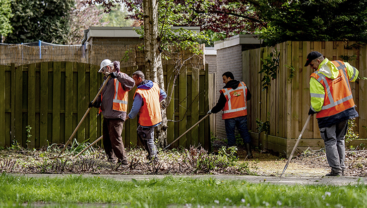 disabled workers working in gardens