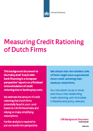 Measuring Credit Rationing of Dutch firms