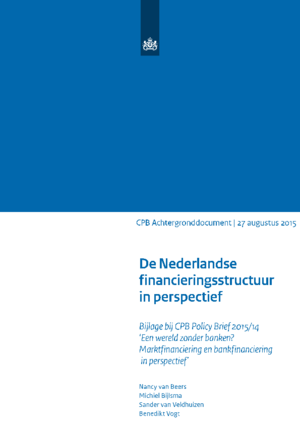 De Nederlandse financieringsstructuur in perspectief