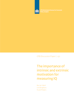 The importance of intrinsic and extrinsic motivation for measuring IQ