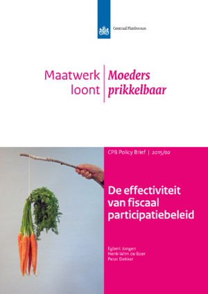 De effectiviteit van fiscaal participatiebeleid