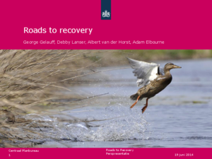 Perspresentatie CPB Boek 11 'Roads to recovery'