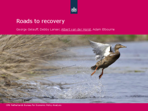 Perspresentatie CPB Boek 11 'Roads to recovery'