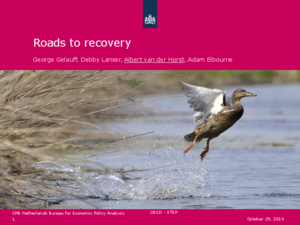 Presentation for OECD STEP 'Roads to recovery'