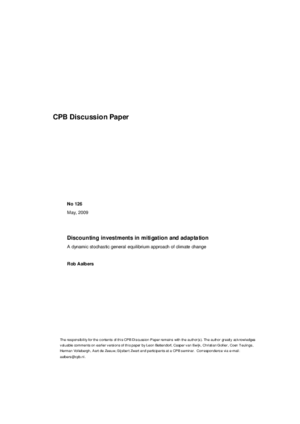 Discounting investments in mitigation and adaptation: a dynamic stochastic general equilibrium approach of climate change