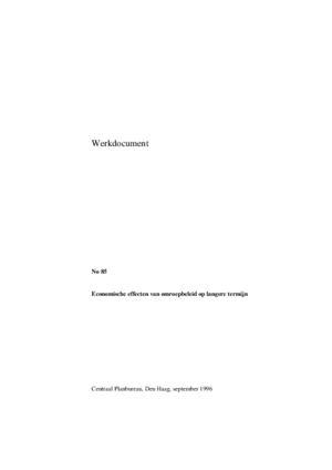 Economische effecten van omroepbeleid op langere termijn