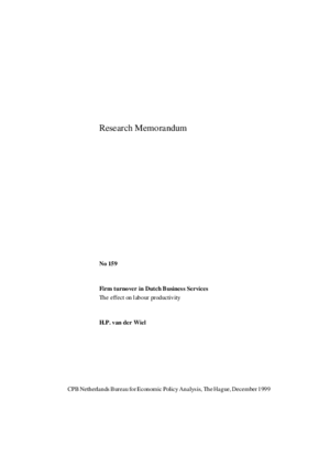 Firm turnover in Dutch business services: the effect on labour productivity